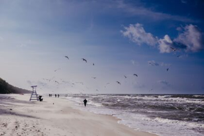 Talvikävelyt meren rannalla Linea Mare