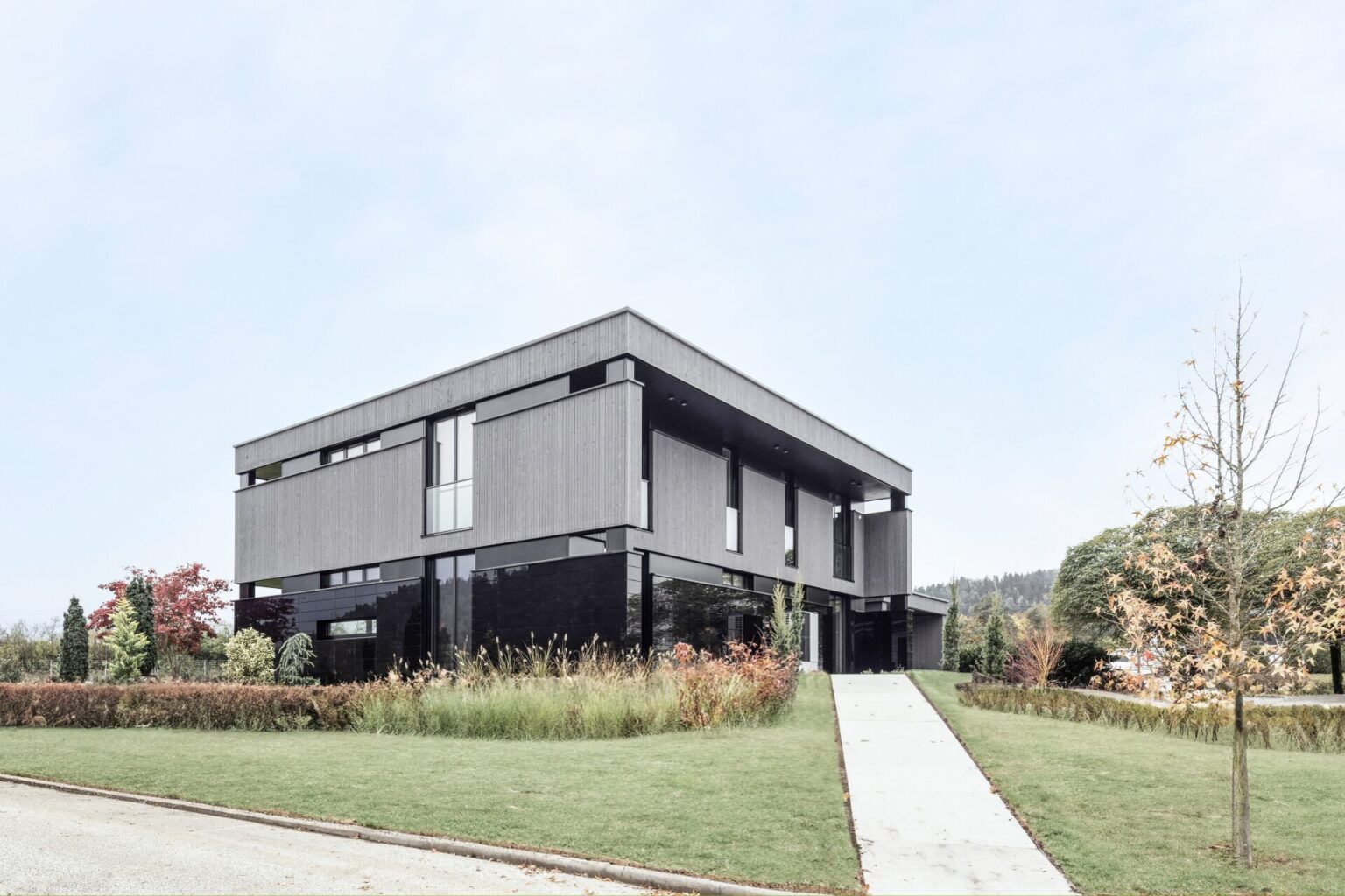 Griffner Porshe -yhteistyö