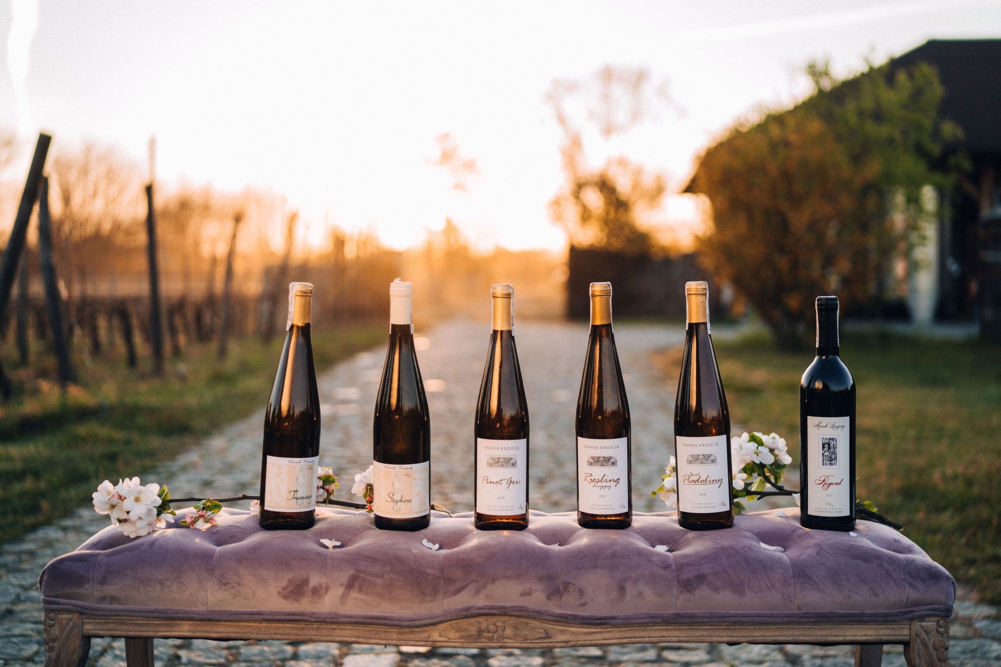 Viinitarhat Zielona Górassa