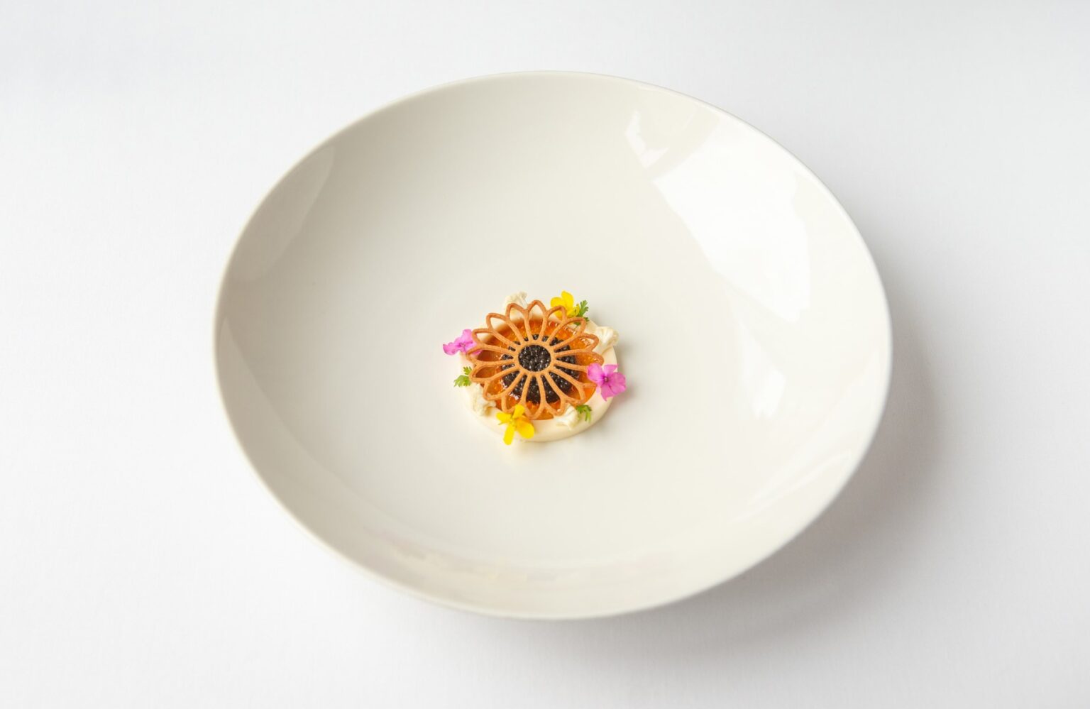 Puolalaiset ravintolat Michelin-oppaassa