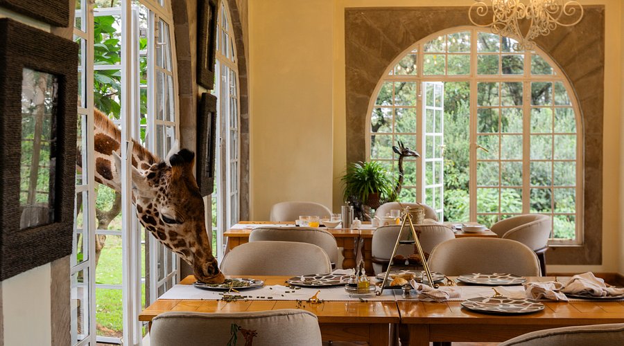 Top 5 Maailman Oudoimmista Hotelleista